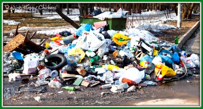 Rubbish heaps like this attract rats and mice.