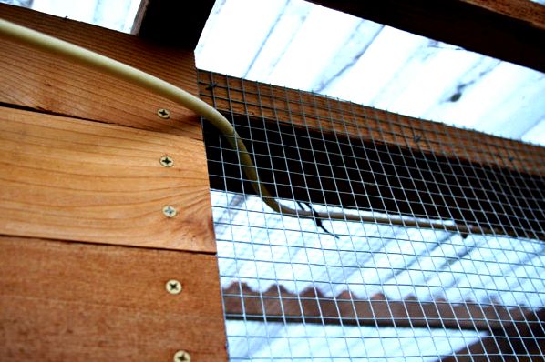 The external nest box on this Garden Coop chicken coop is secured with a predator-safe combination lock.