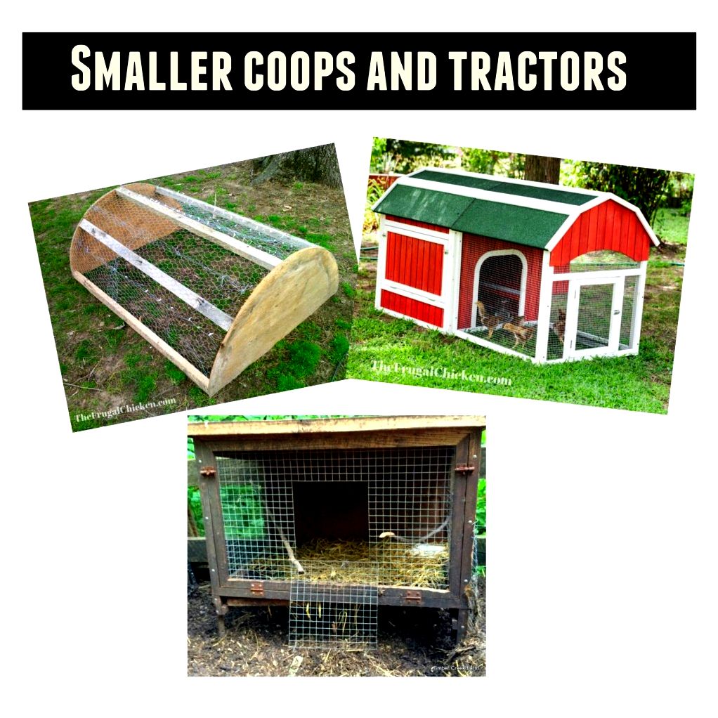 chicken coop design