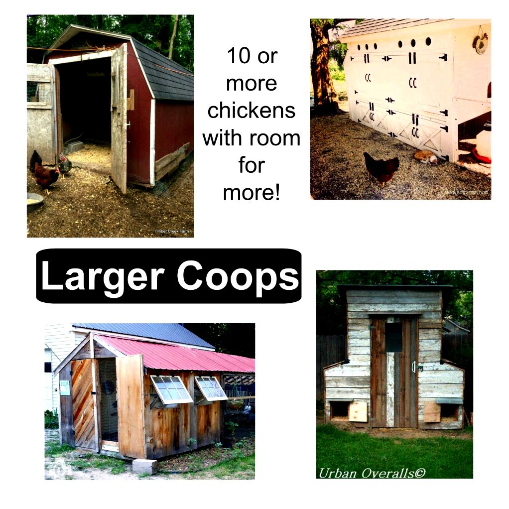 chicken coop design