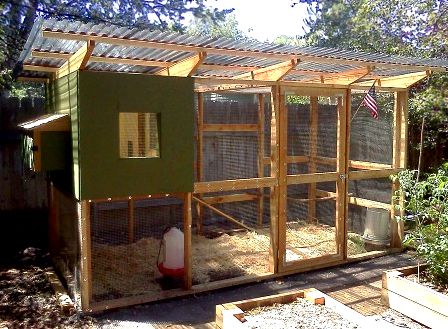 Canvas hammock to catch and collect chicken poop