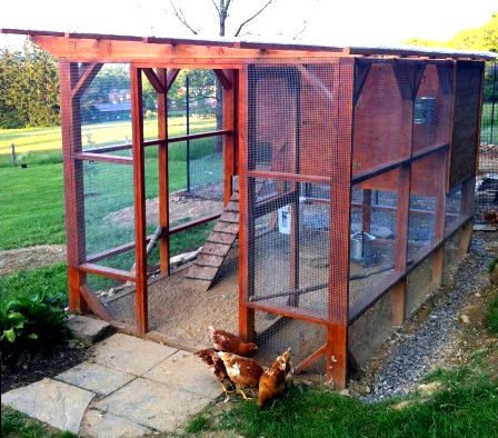 Squirrel house on the chicken coop