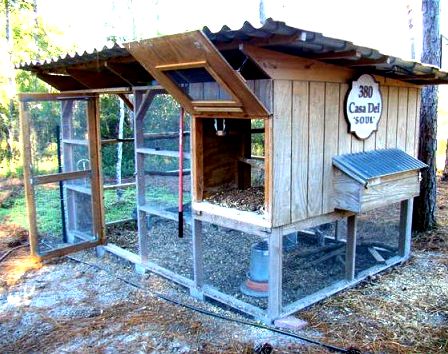 Celebrating a chicken coop well done