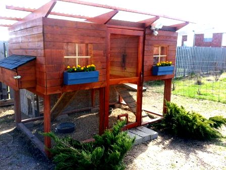 A view inside the henhouse of large California Garden Coop chicken coop