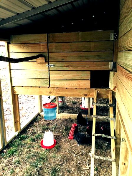 Cole built a very large chicken coop using The Garden Coop plans