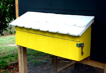 Walk-in chicken coop from plans