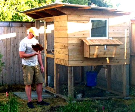 Tall chicken coop from plans