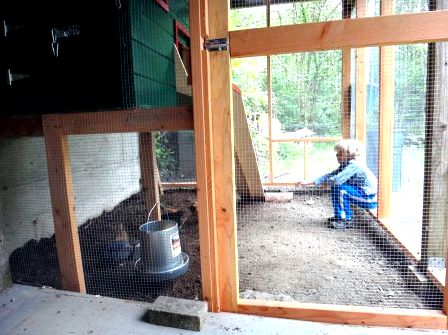 Garden Coop built into an existing shed