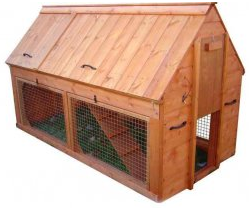 This is a double story ark coop which houses more chickens than other coops.