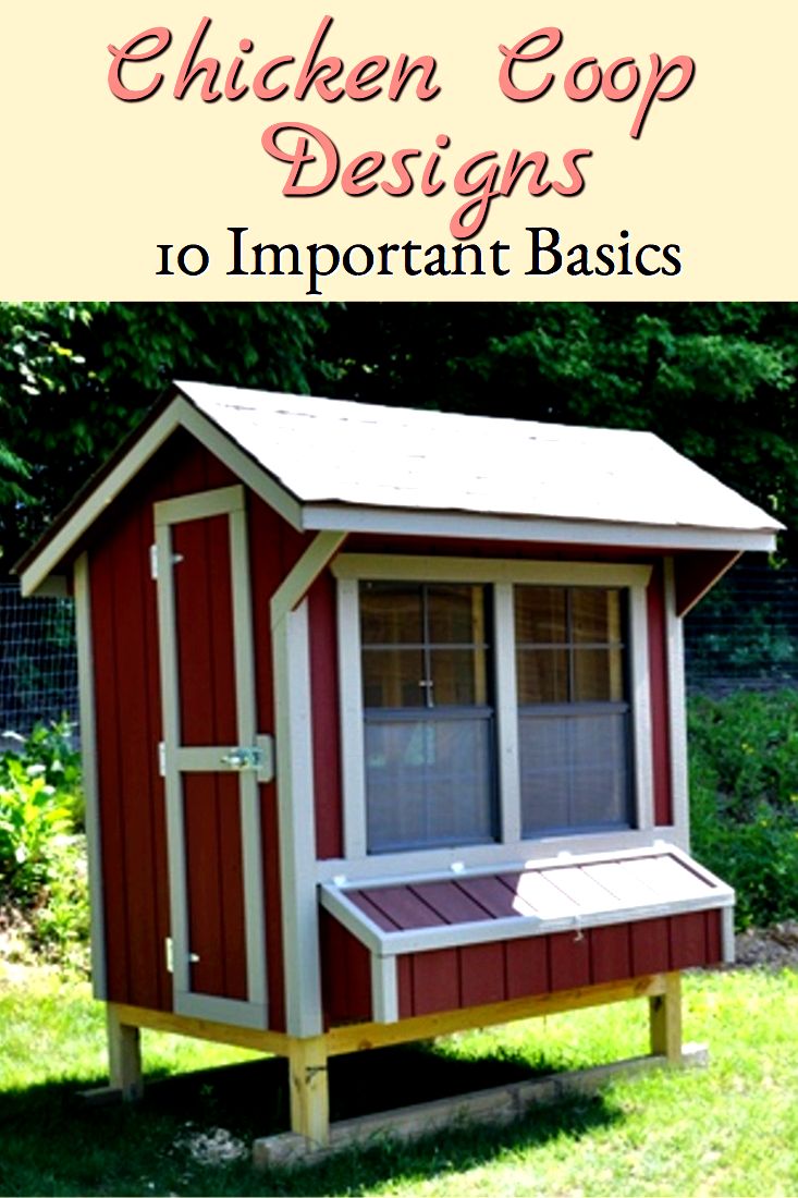 When choosing among chicken coop designs, consider these important basics