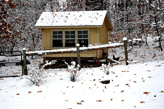 First 2014 Snow Chicken Coop via Better Hens and Gardens
