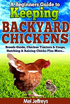 A beginner's help guide to backyard chickens day trip of