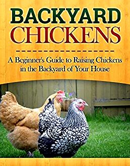 A beginner's help guide to backyard chickens and stability of