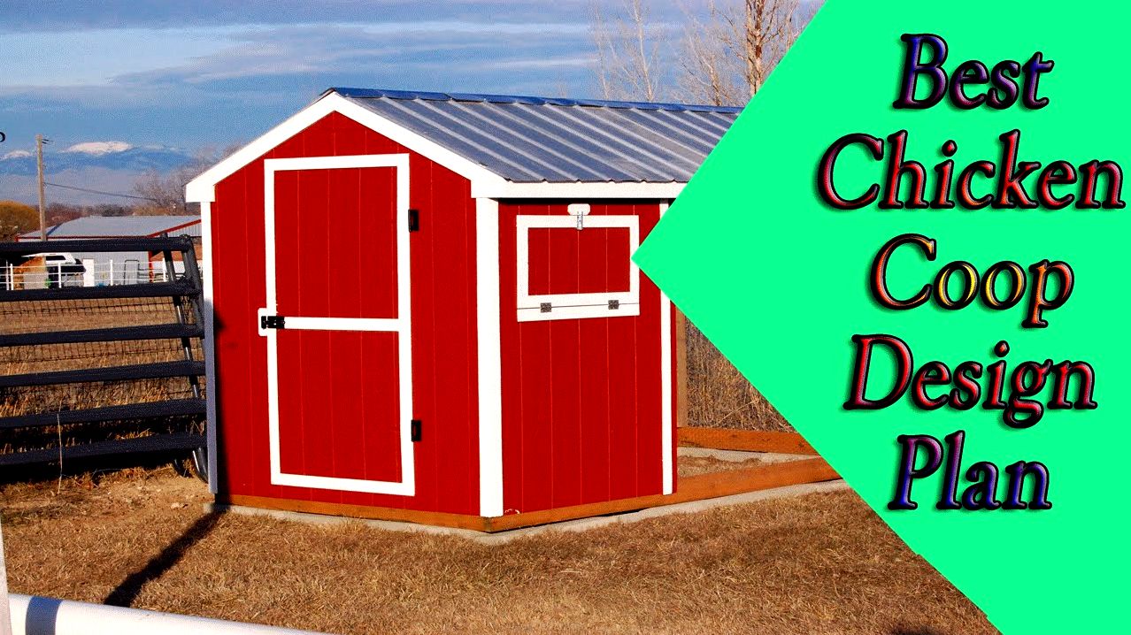 5 diy chicken house designs will not make you broke! tight budget