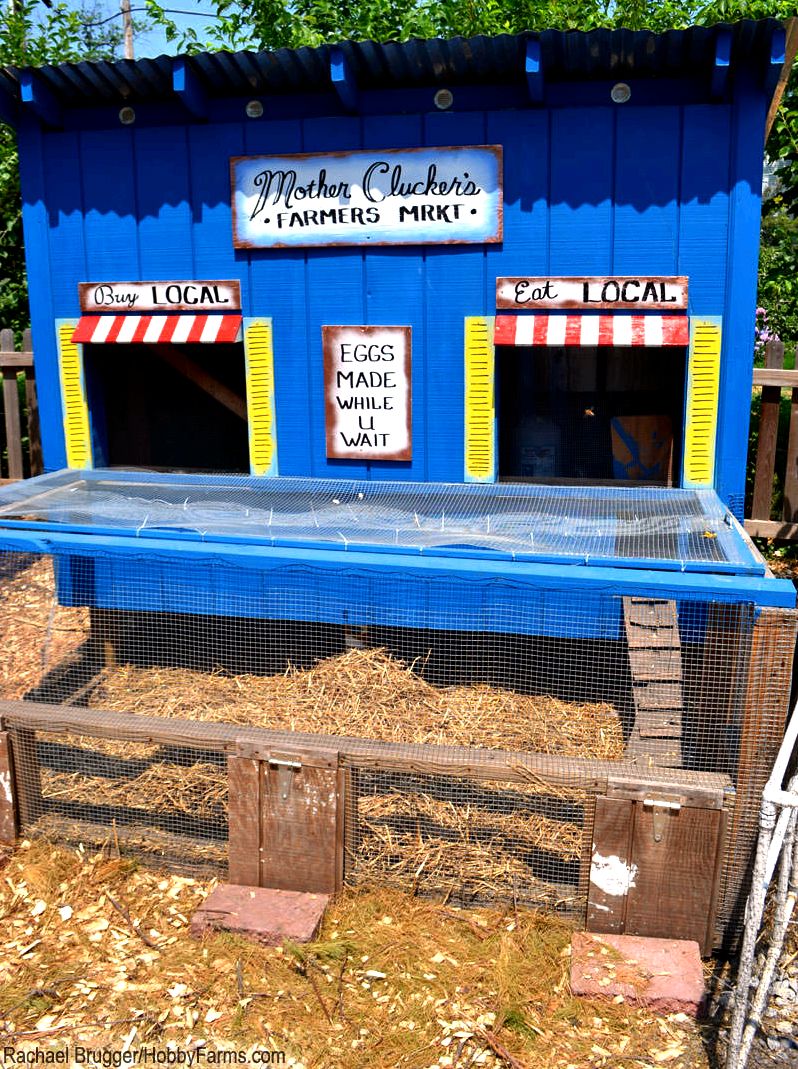 7 Design Details to Include Your Chicken Coop - Photo by Rachael Brugger (HobbyFarms.com)