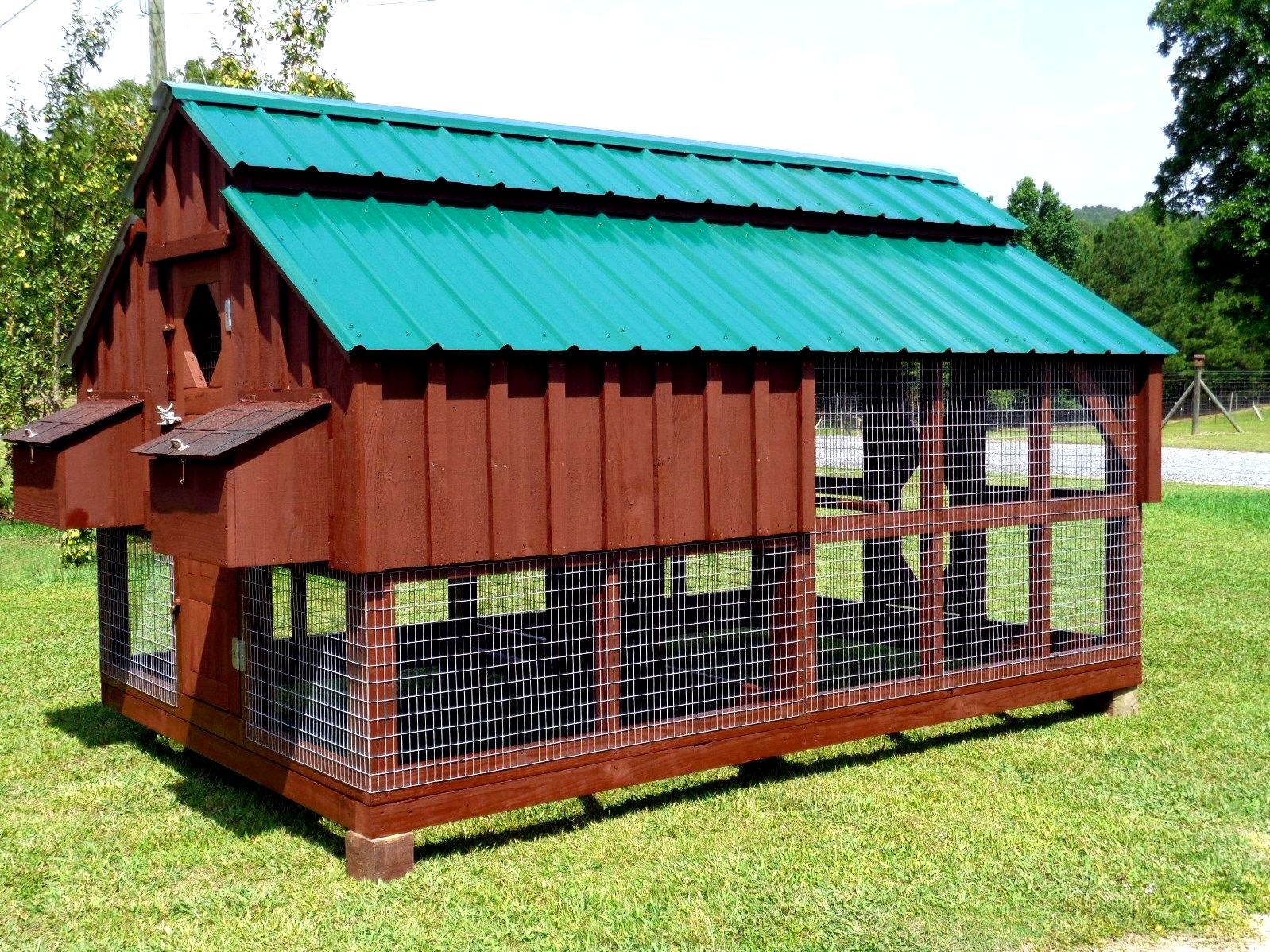 Backyard chicken house designs - how can you choose? than being not big enough