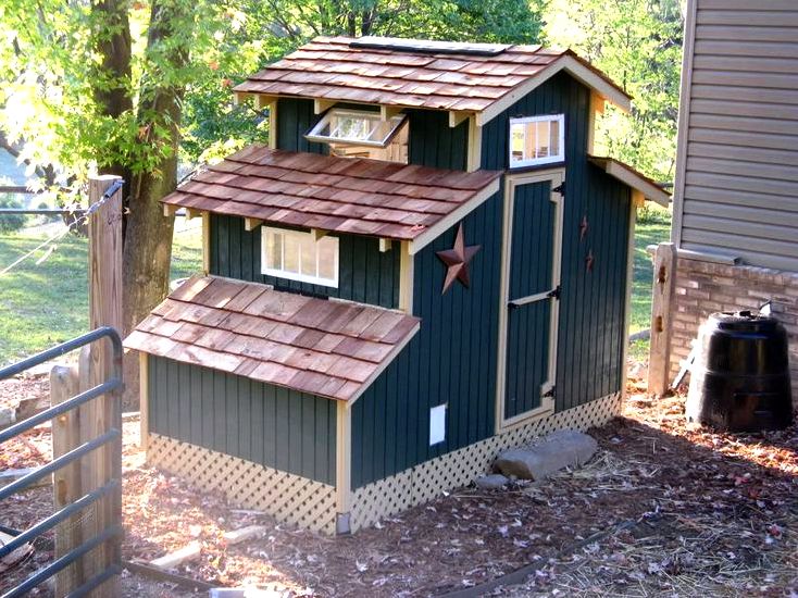 Are you contemplating raising chickens? – my chicken coops excellence of