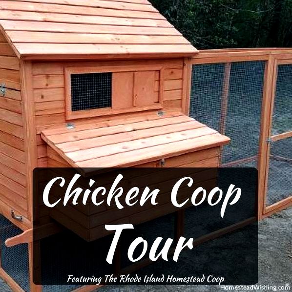 Chicken-coop-tour. Tour of the Rhode Island Homestead Chicken Coop, from the #ad The Chicken Coop Company. Homesteading, chickens, chicken lady.  Homestead Wishing, Author, Kristi Wheeler  http://homesteadwishing.com/chicken-coop-tour/