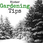 Winter Gardening. A huge curated list of everything you need for your winter gardening. Come join the fun, and get your garden in shape this winter!