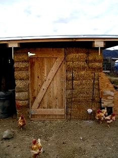 Chicken house insulation? (chickens forum at permies) dogs however