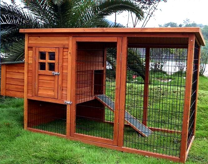 Building an outdoor chicken house You may also