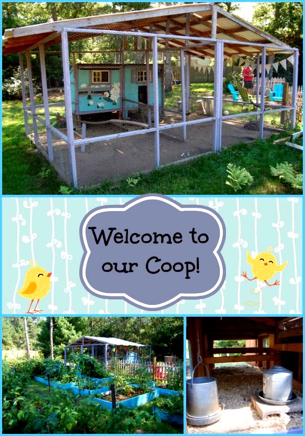 Welcome to our coop! Enjoy this photo tour of our chicken coop & get some ideas on what to do (and not do!) when building your own