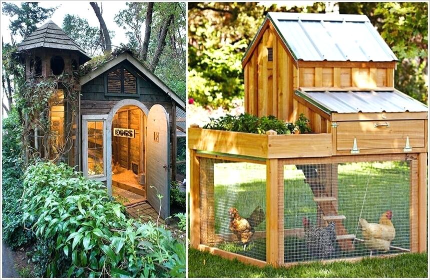 Make Your Coop Fit To Your Living Area