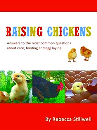 Raising chickens: 6 solutions to common questions Fortunately, the Hello Box stored
