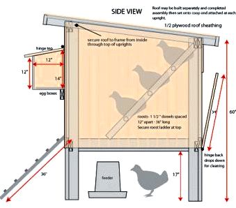 Chicken house plans Our large backyard chicken house