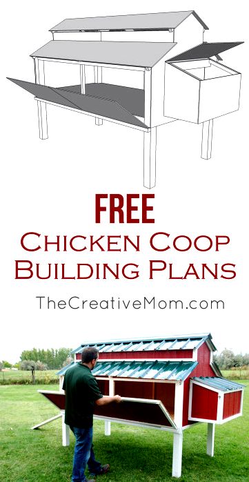 Chicken Coop Building Plan