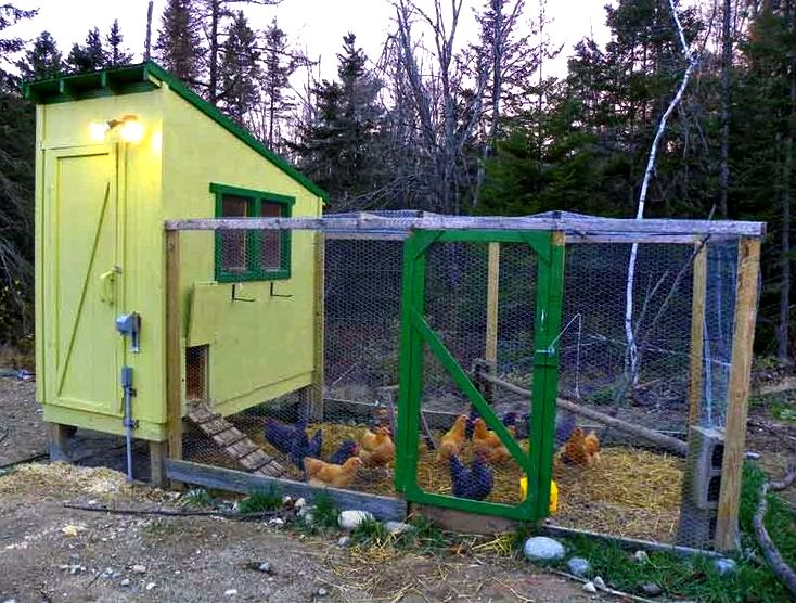 Free downeast thunder farm chicken house plans few photos when