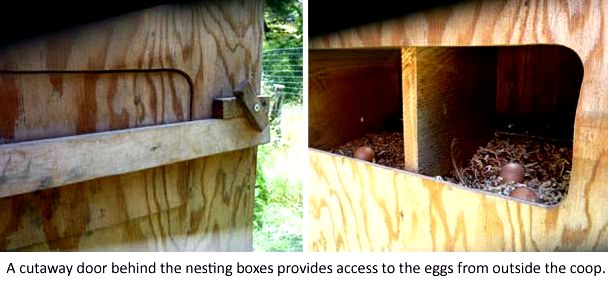 nesting box door