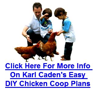 Karl cadens Easy DIY Chicken Coop Plans