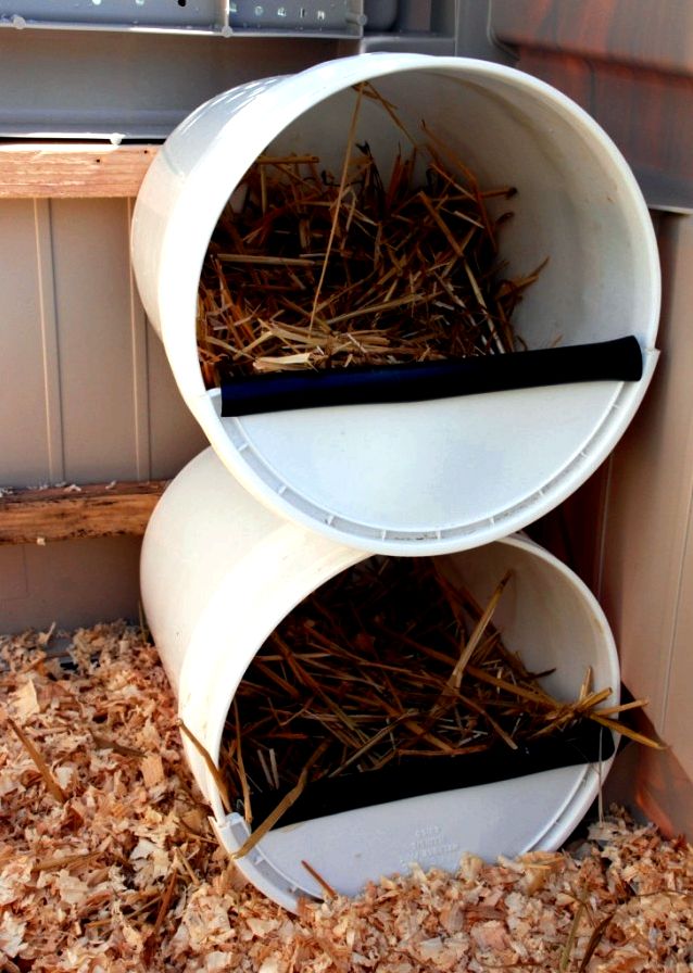 Top Ten chicken nesting boxes could be lined with wood