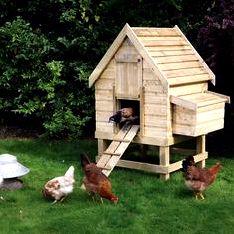 New diy chicken house – invironment – medium Still missing chicken-wire in