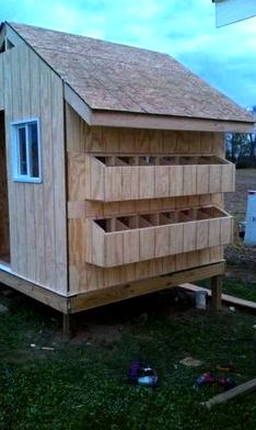 Try creating a chicken house on your own ( diy) – the entrepreneurs hub safeguards them from predators and