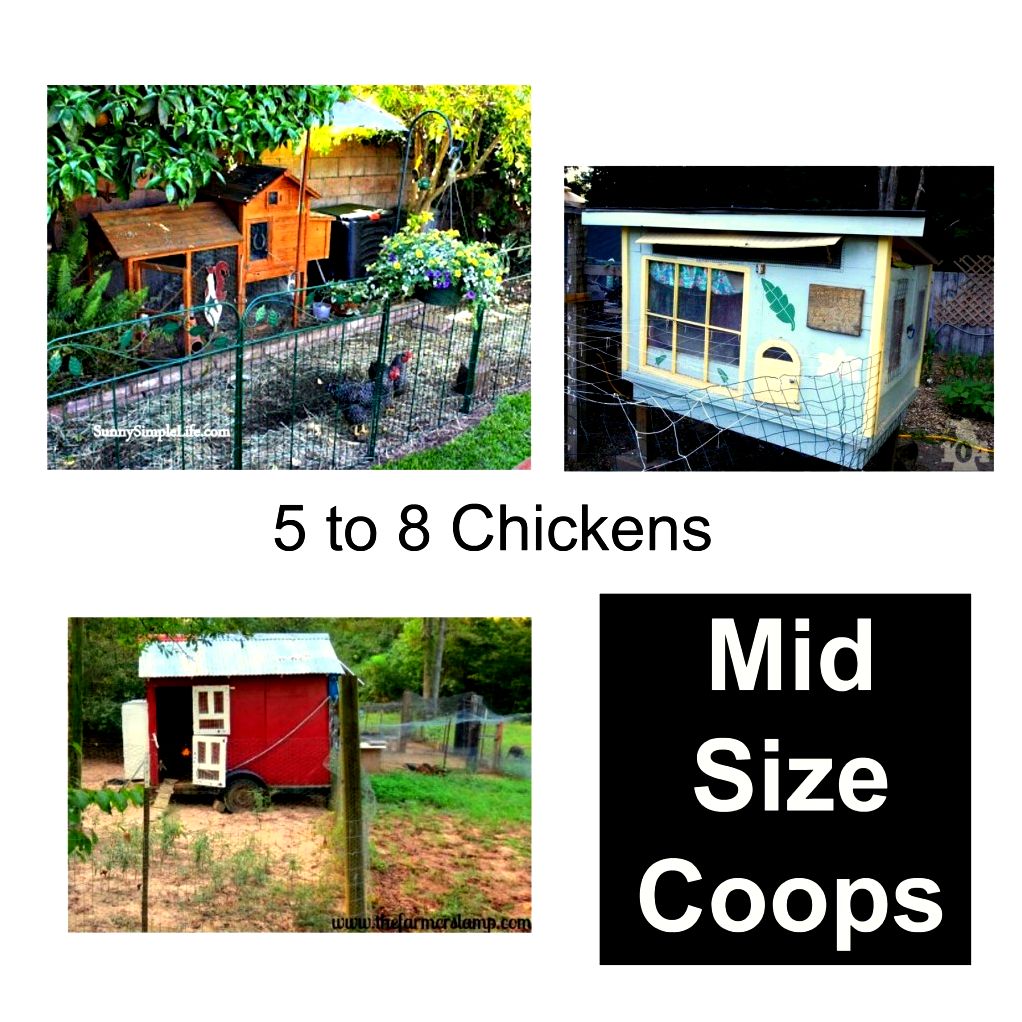 chicken coop design