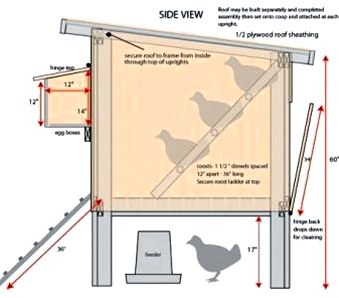 Simple chicken house plans Nesting boxes plans              

    Building an