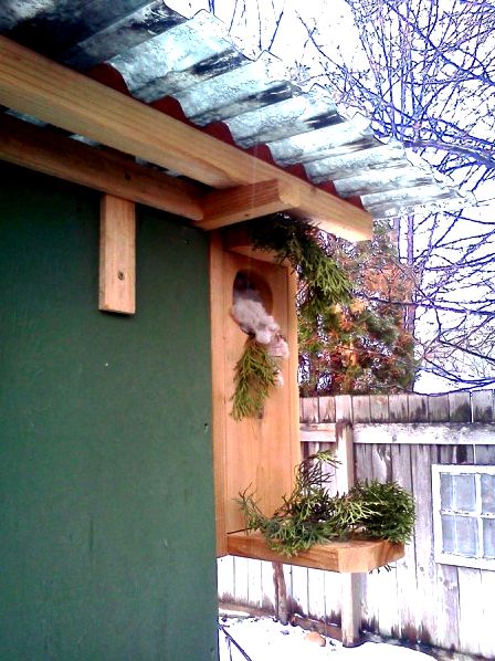Janet built a flower box to decorate the front of her chicken coop.