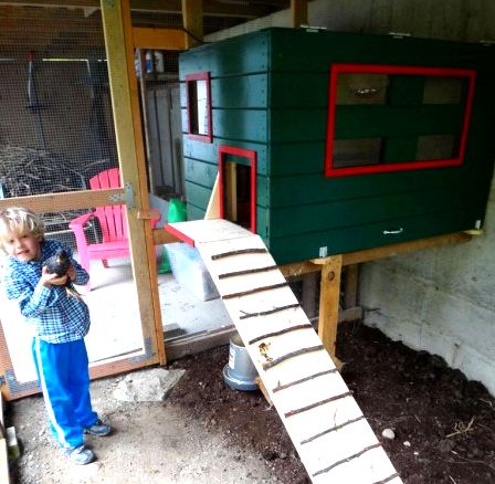 Chicken coop from plans built into shed